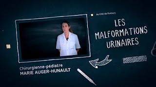 Malformations urinaires  une envie pressante de tout savoir   SCIENCE INFUSE 6 [upl. by Penney629]