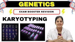 GENETICS  Karyotyping  Basics Procedure amp Application  MedSeed MBBS [upl. by Alemaj714]