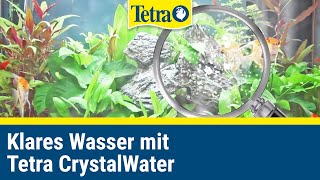 Klares Wasser im Aquarium mit Tetra CrystalWater [upl. by Ledeen]