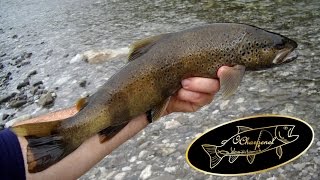 Une sortie de pêche dans la Haute Savoie avec mon pote Luciano [upl. by Legge]