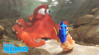 Finding Dory  Blijven Zwemmen  Disney NL [upl. by Melton300]