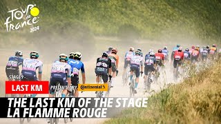 Last Km  Stage 9  Tour de France 2024 [upl. by Julee439]