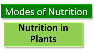 Modes of Nutrition  Autotrophic and Heterotrophic  Science Lesson [upl. by Chobot926]