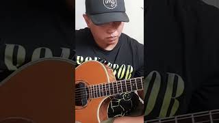 AlipBaTa New Wheel on A Bus  Sick Song  Baby Shark Midley Fingerstyle Cover [upl. by Alethia567]