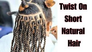 Twists On Short Natural Hair Tutorial For Beginners 2024 [upl. by Carny]