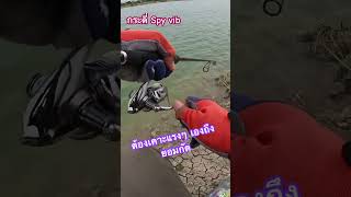 เคาะสุดแรง🤣spy shots fish fishing [upl. by Caylor]