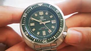 STEELDIVE Willard 1970 Green  Long Term Watch Review [upl. by Pickard]