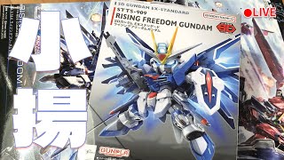 模型做一半LIVE 326 素組裝SDEX振揚自由鋼彈小揚是你amp噴一下消光 Rising Freedom Gundam 100天模型實況企劃 35  高畫質模型製作實況聊天 [upl. by Ssidnak27]