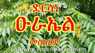 ድርሳነ ዑራኤል መስከረም  Dirsane Urael Meskerem [upl. by Lehcsreh]