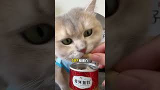 Cat owners really buy two cans of staple freezedried cat food for 99 yuan Dont miss it if yo [upl. by Aileen]