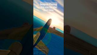 Awesome flight sim who agree viralvideo flightpilot fyp aviation music rock [upl. by Fredkin]