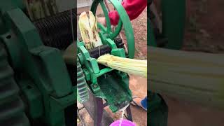 Sugarcane Crusher Machine  Sugarcane Juice Machine shorts farming technology auto viral fyp [upl. by Enomed]