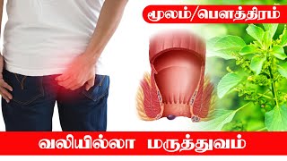 Simple Siddha Treatment for Piles  Fistula  Contact 91 9489832921 [upl. by Ocram405]