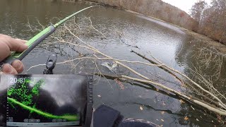 HEAVY Cover CRAPPIE  VERTICAL JIGGING [upl. by Ludie]