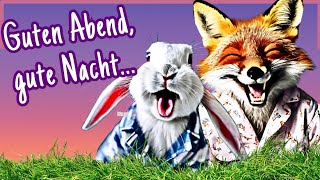 Verrückte Abendgrüße mit ❤️ amp Humor zum Teilen 🥱 [upl. by Avlem]