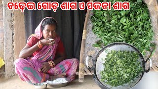 ଚଢ଼େଇ ଗୋଡ଼ ଶାଗ ଓ ସଜନା ଶାଗ  hirasingh9408 [upl. by Ayhtin]