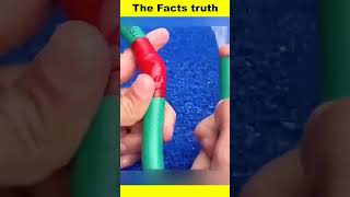 Amazing Science Expriment facts factsinhindi science shortsfeed shorts [upl. by Alanna]