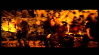 Dark Tranquillity  Zodijackyl Light  YourMetalTv [upl. by Cyrillus]