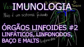 Aula Imunologia  Órgãos Linfoides  Vasos Linfáticos Linfonodos Baço e MALTs  Imunologia 5 [upl. by Ecnerwal555]