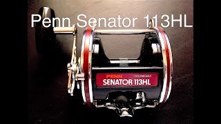 Penn Senator 113HL Conventional Reel [upl. by Helbonia240]