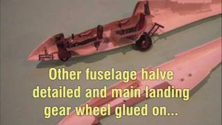 Building Review  REVELL  Duo Discus Glider  132 Scale [upl. by Gibeon243]