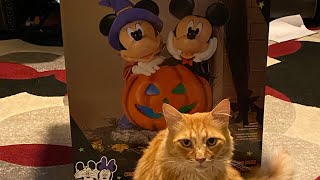 Costco 2024 Mickey and Minnie with Pumpkin Review [upl. by Edgardo103]