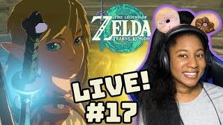 ZELDA TEARS OF THE KINGDOM STREAM 17 [upl. by Agueda]