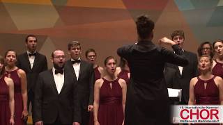 Collegium Musicum Berlin Sfogava con le stelle INTERN KAMMERCHORWETTBEWERB MARKTOBERDORF 2017 [upl. by Napier484]