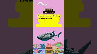 shark lifestyle sharklifestyle lifeofshark sharks lifebelowwater bigsharkofficial blueshark [upl. by Emawk]