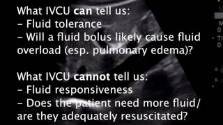 Assessment of Fluid Resuscitation by IVC Ultrasound [upl. by Oicram]