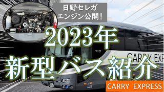 【日野セレガ】2023年新型！大型観光バス紹介 [upl. by Hay]