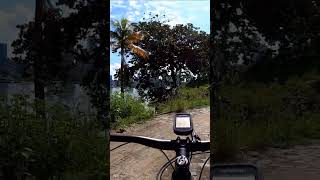 MORRO DA MARINHA mtb mountainbike bicycle shorts [upl. by Pros]