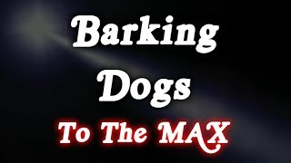 ▶️ Barking Dogs To The Max Barking Dogs Sounds Dogs Barking Noises 12 Hours 🌏 [upl. by Nerat]