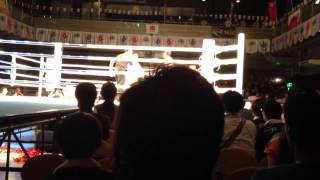 2013915 MFight Kaew Fairtex vs 梅野源治 2R [upl. by Shane423]