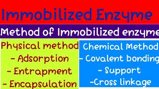 Immobilized Enzyme bio  organic  Msc 3 sem [upl. by Enyamrahc]