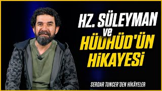 Hz Süleyman ile Hüdhüdün Hikayesi  Serdar Tuncer [upl. by Frieda]