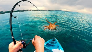 I Caught an Octopus on a Fishing Rod [upl. by Rockie]