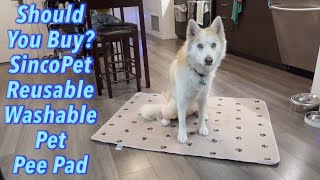 Should You Buy SincoPet Reusable Washable Pet Pee Pad [upl. by Eilitan]