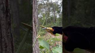 WOW SMART idea and USEFUL in forest camping bushcraft outdoor survival [upl. by Tdnerb]