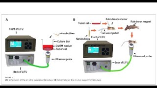 PLGA from PolySciTech used in development of delivery of genes for bone cancer treatment [upl. by Sirrap]