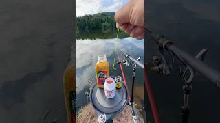 Only three shakes are needed to apply the bait FishingSkills fishing fish outdoorfishing shorts [upl. by Way188]