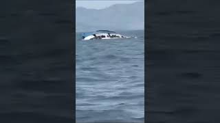 Goa Boat Accident 34killed 64missing42recuse boat boating accidentalinventions goa shorts [upl. by Wei]