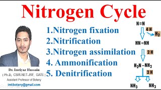 Nitrogen Cycle Nitrification assimilation Ammonification nitrogenfixation nitrogencycle ecology [upl. by Crin]