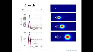 Plume with nonequilibrium sorption [upl. by Nalro]