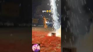 Kya koses ki dog ni🤪🤪shortvideo dogfunnyvideo shots ytshorts pradeepraveenaofficial [upl. by Vaclav]