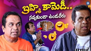 Brahmanandam Allari Naresh Hilarious Comedy Scenes  iDream Tv [upl. by Spencer246]