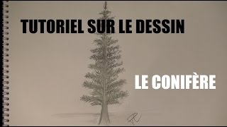 Tutoriel sur le dessin Le Conifère [upl. by Yrrah803]