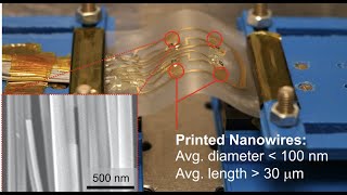 ZnO Nanowires Based Flexible UV Photodetectors for Wearable Dosimetry  IEEE Sensors 2017 [upl. by Ttessil652]