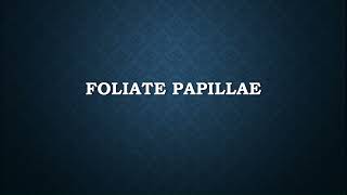 How to Pronounce Foliate Papillae [upl. by Zolner]