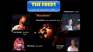 The FREDS Live  quotMeadowsquot Joe Walsh  Juanitas 1990 [upl. by Nivloc]